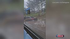 Pioggia record a Toronto: si allaga anche l'autobus