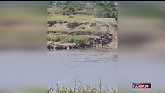 Turisti svizzeri finiscono in un fiume infestato dai coccodrilli