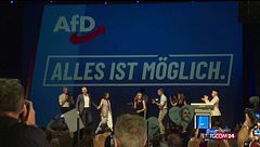 Afd vince in Sassonia-Anhalt | Siegmund: "Vogliamo il 50%"