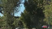Milano, già seccati gli alberi piantati meno di un anno fa