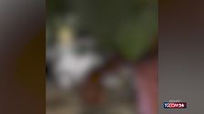 Venezia, attrice bengalese in concorso alla Mostra del Cinema aggredita: indaga la Digos