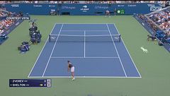 Zverev vince gli US Open, ma... non se ne accorge: gli highlights