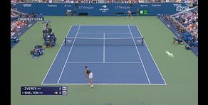 Zverev vince gli US Open, ma... non se ne accorge: gli highlights