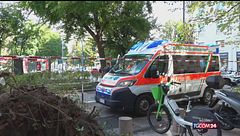 Crolla un albero in piazza risorgimento a Milano: ci sono feriti