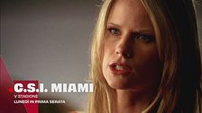 C.S.I. Miami