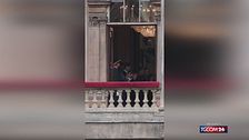 I Beatles pronti a tornare assieme (almeno al cinema)