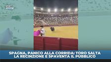 Spagna, panico alla corrida: toro salta la recinzione e spaventa il pubblico
