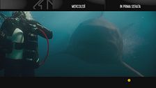Shark 2 - L'abisso