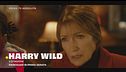 Harry wild - la signora del delitto