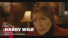 Harry wild - la signora del delitto