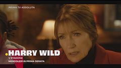 Harry wild - la signora del delitto