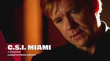 C.S.I. Miami