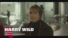 Harry Wild