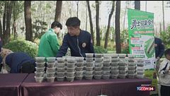 In Cina è caccia ai bruchi invasivi della falena americana
