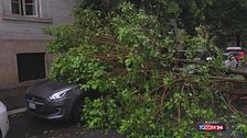 Maltempo, alberi abbattuti e strade allagate: Roma in tilt, scuole chiuse in Toscana