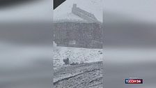 È arrivata la neve al Passo dello Stelvio