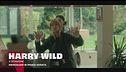 Harry Wild - La signora del delitto