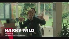 Harry Wild - La signora del delitto