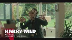 Harry Wild - La signora del delitto