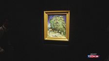 Riappare in pubblico un quadro di Van Gogh: la coda è infinita
