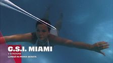 C.S.I Miami