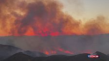 California, grande incendio divampa a nord-ovest di Malibù