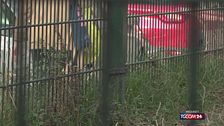 Milano, 21enne in Erasmus violentata per strada da due uomini