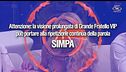 Quanto sei simpa