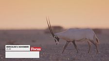 Oman: meraviglie naturali d'Oriente