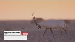 Oman: meraviglie naturali d'Oriente