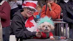 A New York la dog parade a tema Halloween