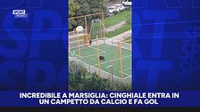 Marsiglia, c'è un nuovo bomber: cinghiale invade campetto da calcio e segna
