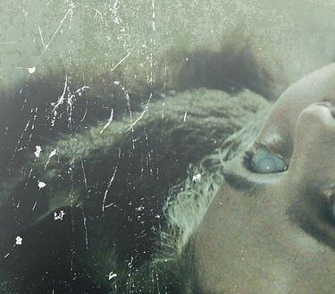 Trailer - The field guide to evil