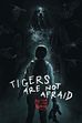 Trailer - Tigers Are Not Afraid