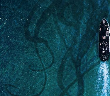 Sea Fever - Contagio in alto mare