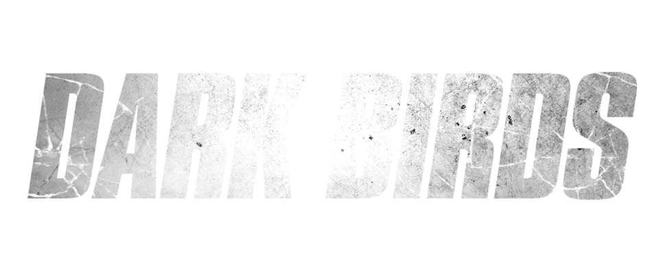 Dark birds - Film Mediaset Infinity