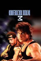 American Ninja 3