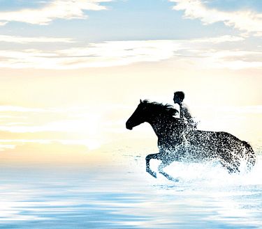 The Black Stallion