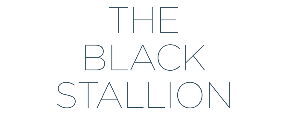 The Black Stallion - Film Mediaset Infinity