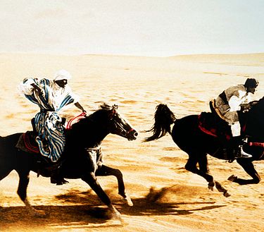 Il ritorno di black stallion