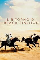 Il ritorno di black stallion