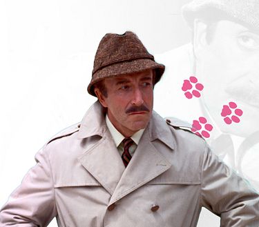 Il ritorno della Pantera Rosa