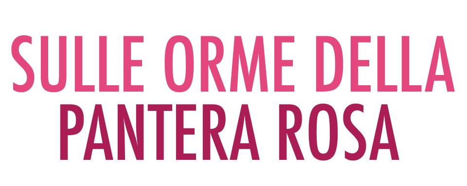 Sulle orme della pantera rosa - Film Mediaset Infinity