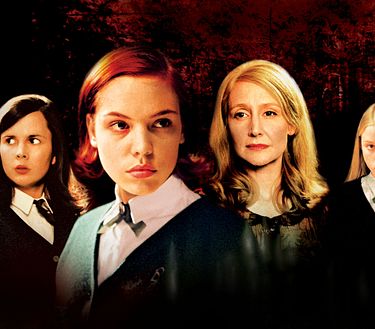 Il mistero del bosco