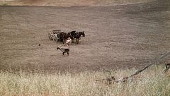 Ep. 1 - Una casa per tutti noi, parte 1