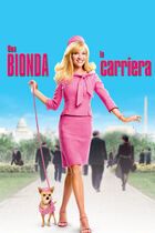 Una bionda in carriera