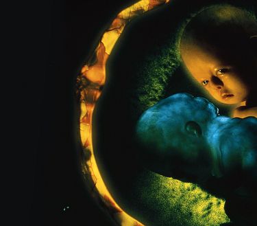 The Ring 0 - The Birthday