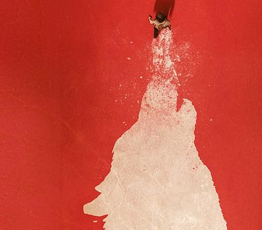Il lupo della neve