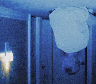 Trailer - Skinamarink - Il risveglio del male