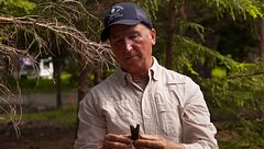 ep.7 - Un reperto bizzarro